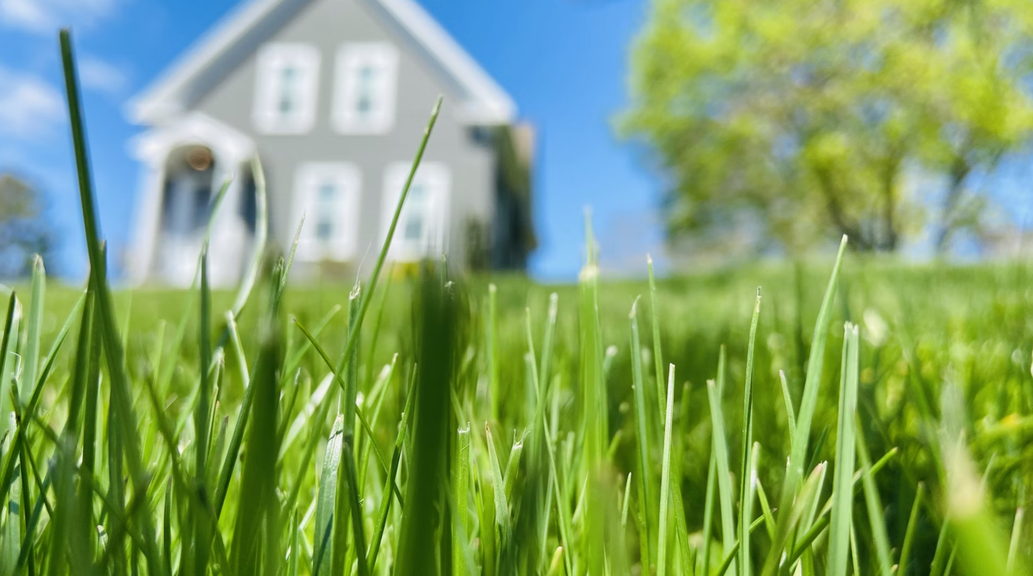 lawn care franchise