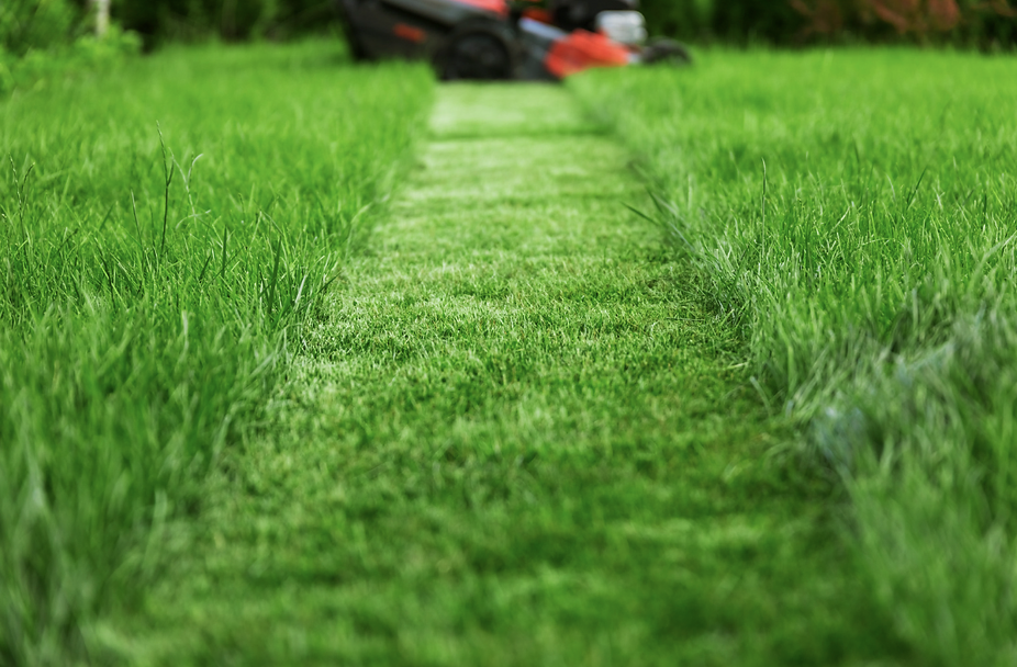 lawn care franchise owner builds franchise investment portfolio with francoach